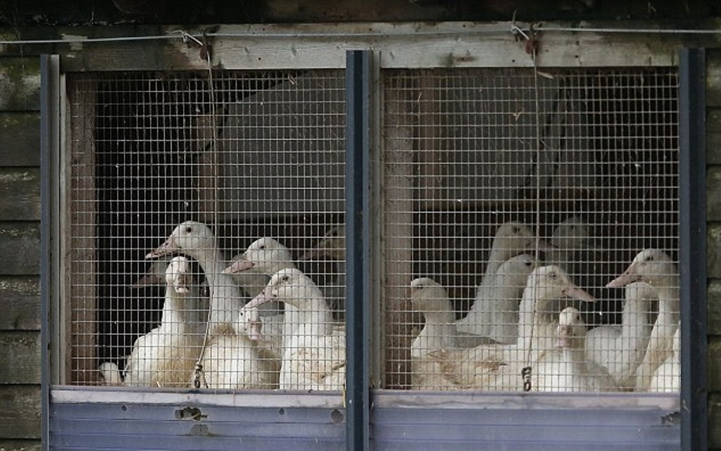 (File Photo) / Reuters