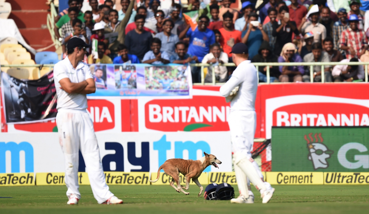 England's captain Alastair Cook (L) and spectators watch a dog which ran onto the field during the first day of the second Test cricket match between India and England at the Dr. Y.S. Rajasekhara Reddy ACA-VDCA Cricket Stadium in Vishakhapatnam on Novembe