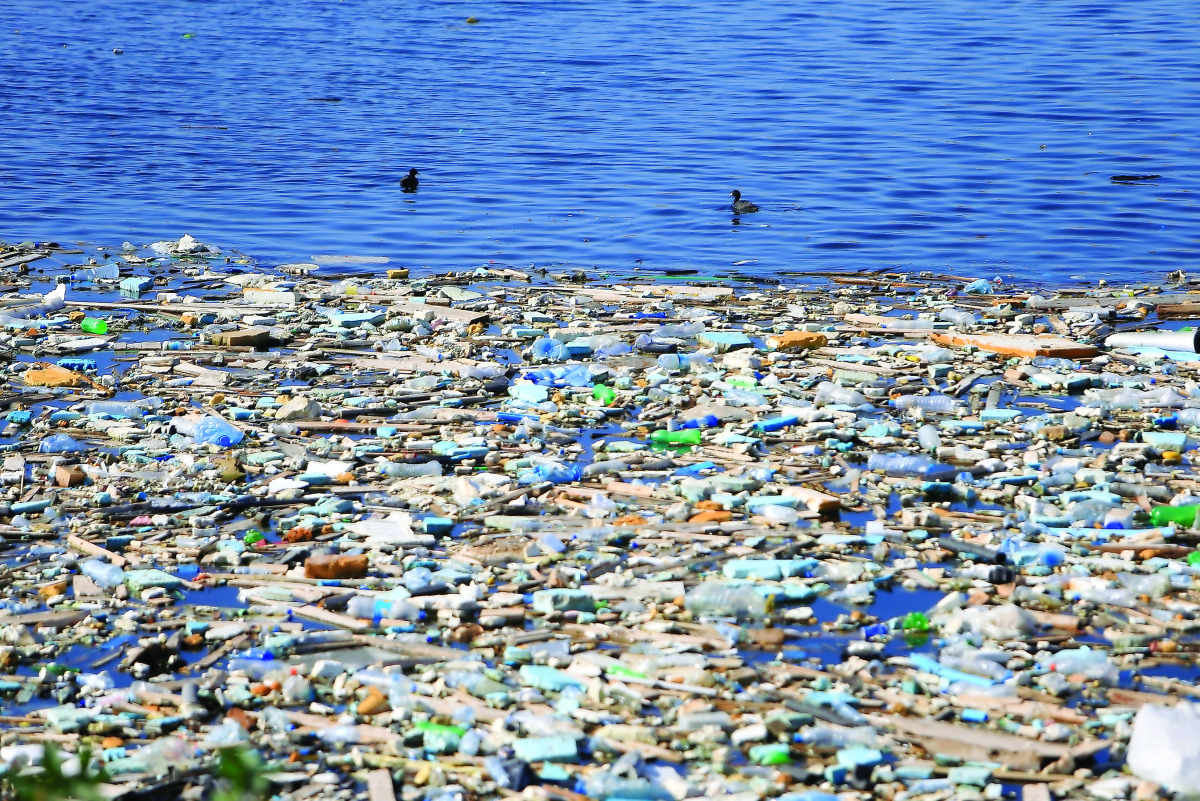 Ducks swim along a closed-off shoreline in Sidon, southern Lebanon, yesterday.