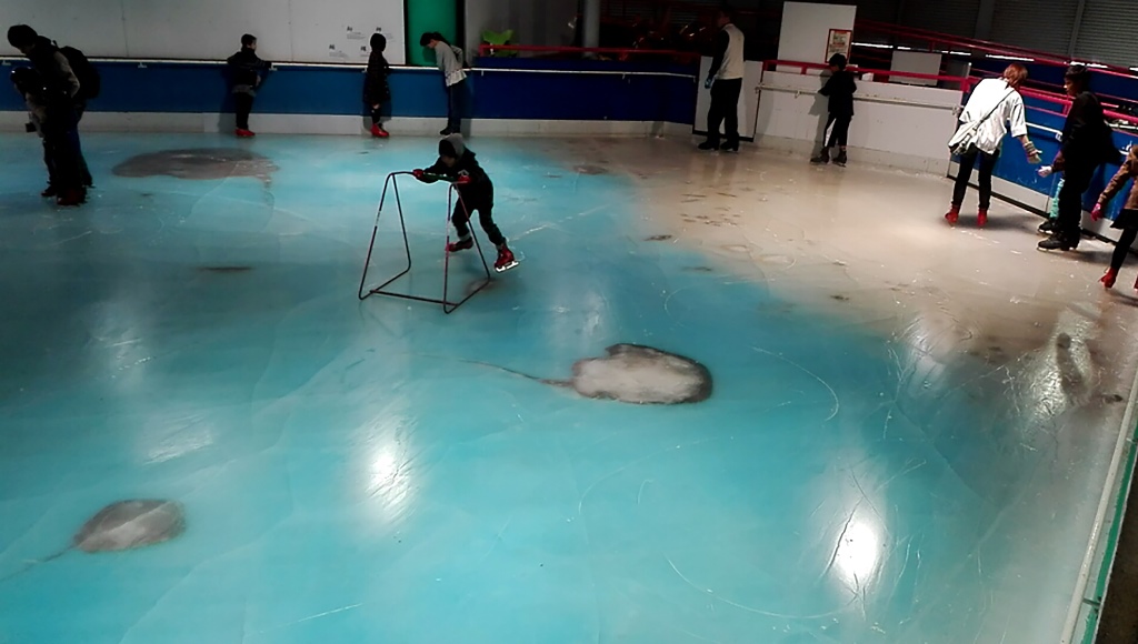 The handout picture taken in November 2016 and released on November 28, 2016 shows people skating on an ice rink with 5,000 frozen dead fish inside at the Space World amusement park in Kitakyushu, southwestern Japan. AFP PHOTO / SPACE WORLD