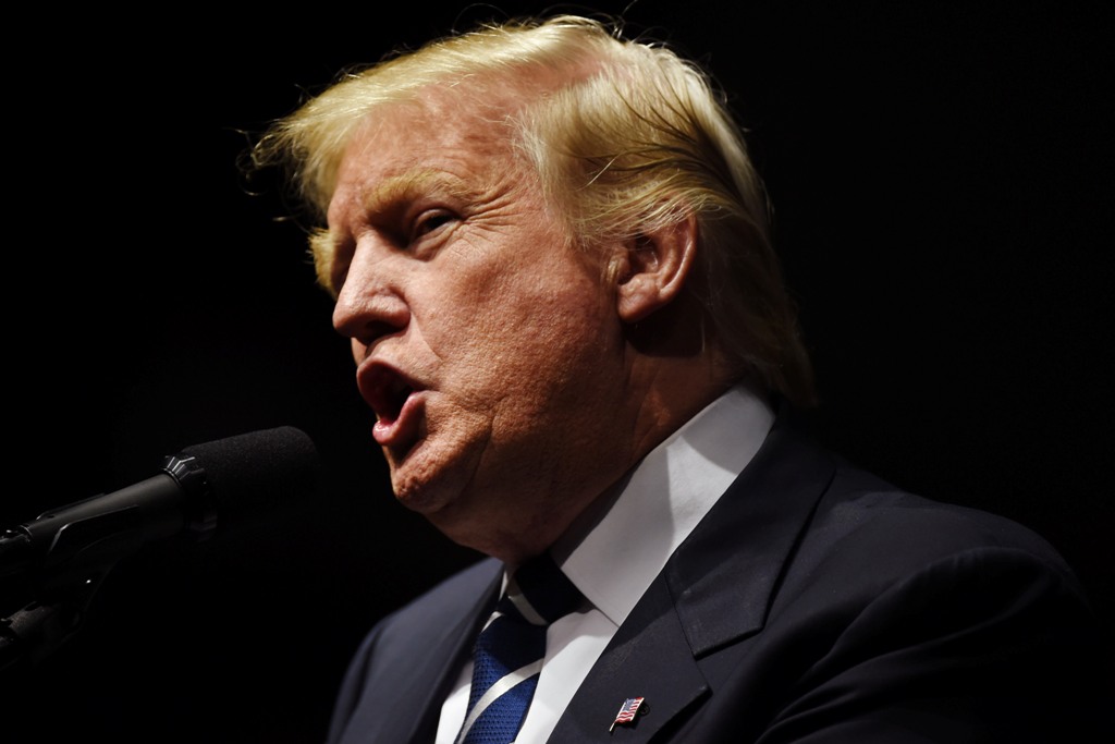 (FILES) This file photo taken on December 9, 2016 shows US President-elect Donald Trump speaking during the USA Thank You Tour in Grand Rapids, Michigan.  AFP / DON EMMERT
