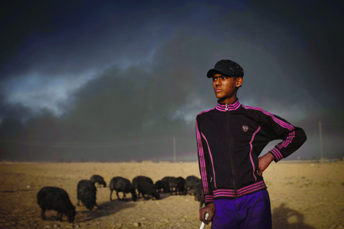 File picture of a young shepherd watching over his flock of sheep, their fleece blackened by smoke from burning oil wells set ablaze by Islamic State (IS) jihadists before retreating, near Mosul. 