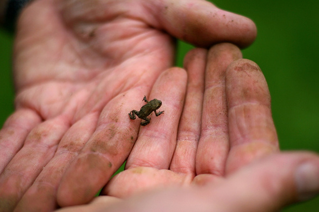 Photo for representation 