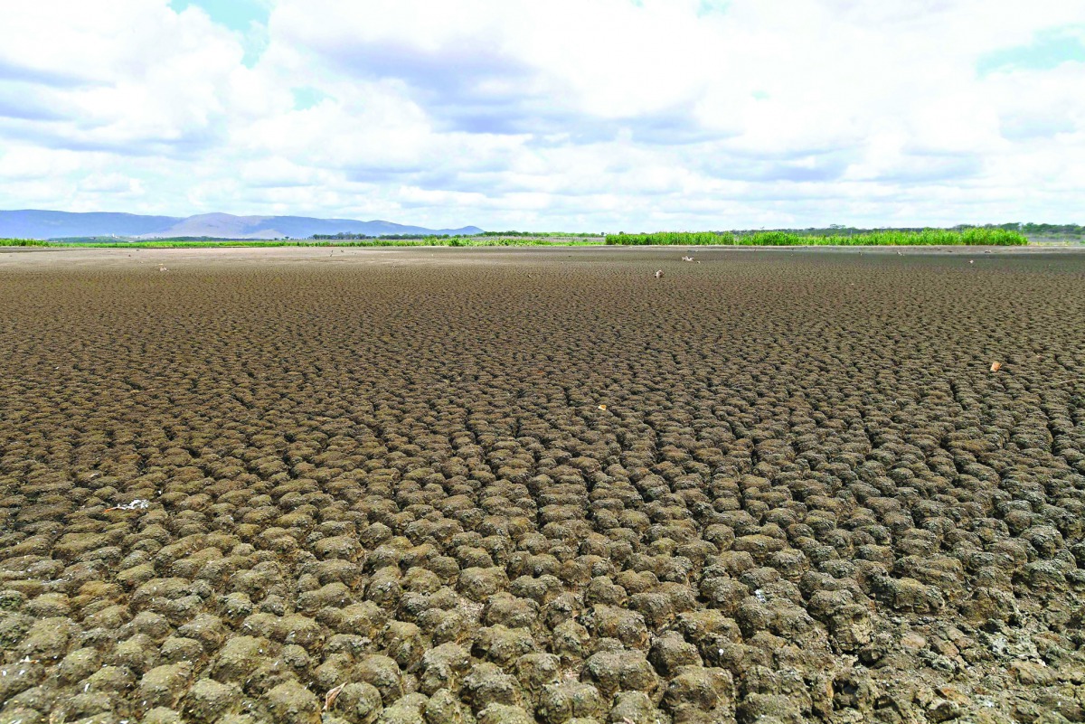 The dry Cedro reservoir at Quixada, Ceara State, in Brazil yesterday. The situation of the Brazil's oldest reservoir sumps up the devastating effects of the worst drought of the century in the northeast of the country.   
