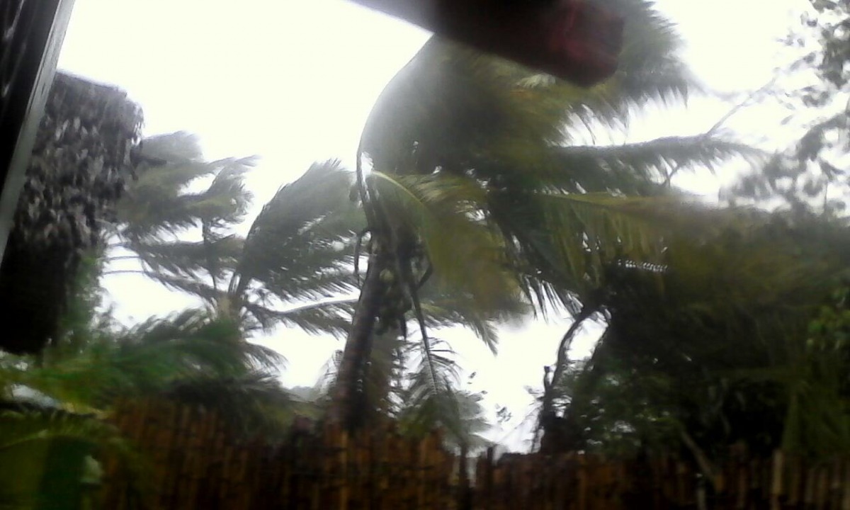 Photo Credit: @ErwanGelebart/Twitter