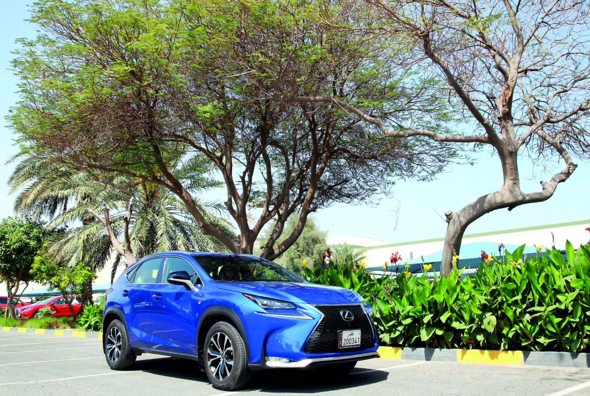 Pic: Qassim Rahmatullah / The Peninsula 