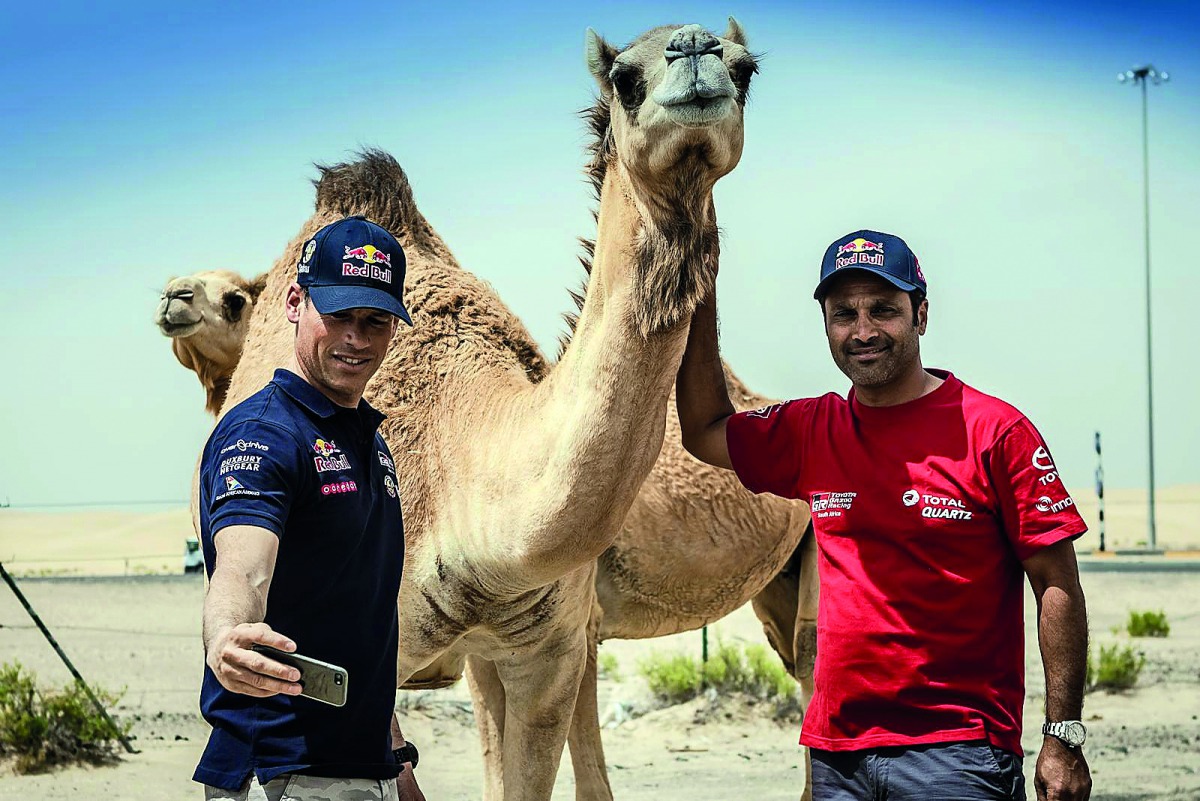 Qatar's Nasser Saleh Al Attiyah (right) and his co-driver Matthieu Baumel take selfies with a camel during the testing stage of the Abu Dhabi Desert Challenge yesterday. The Abu Dhabi Desert Challenge powered by Nissan fired into life with a short spectat