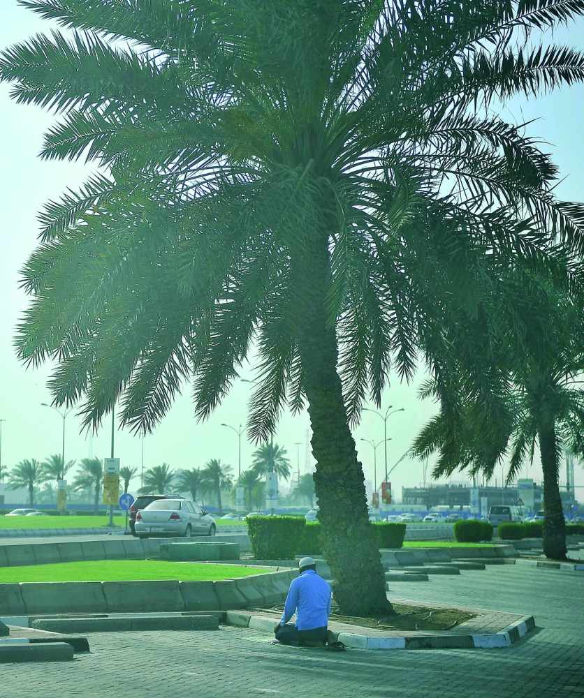 A man praying under a date palm yesterday afternoon as the mercury soared to 40 degrees Celsius in Doha. Pic: Baher Amin / The Peninsula