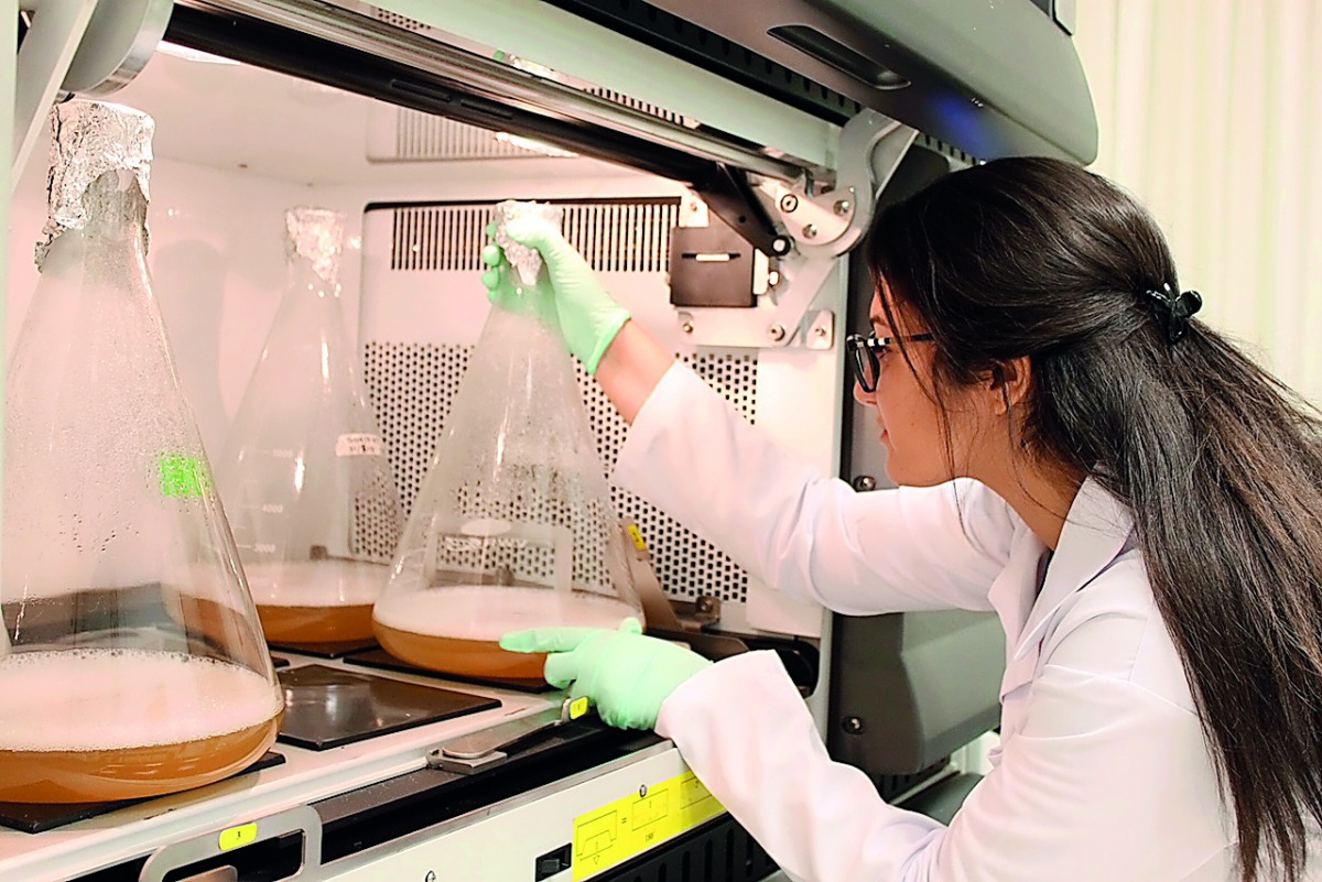 A researcher at HBKU