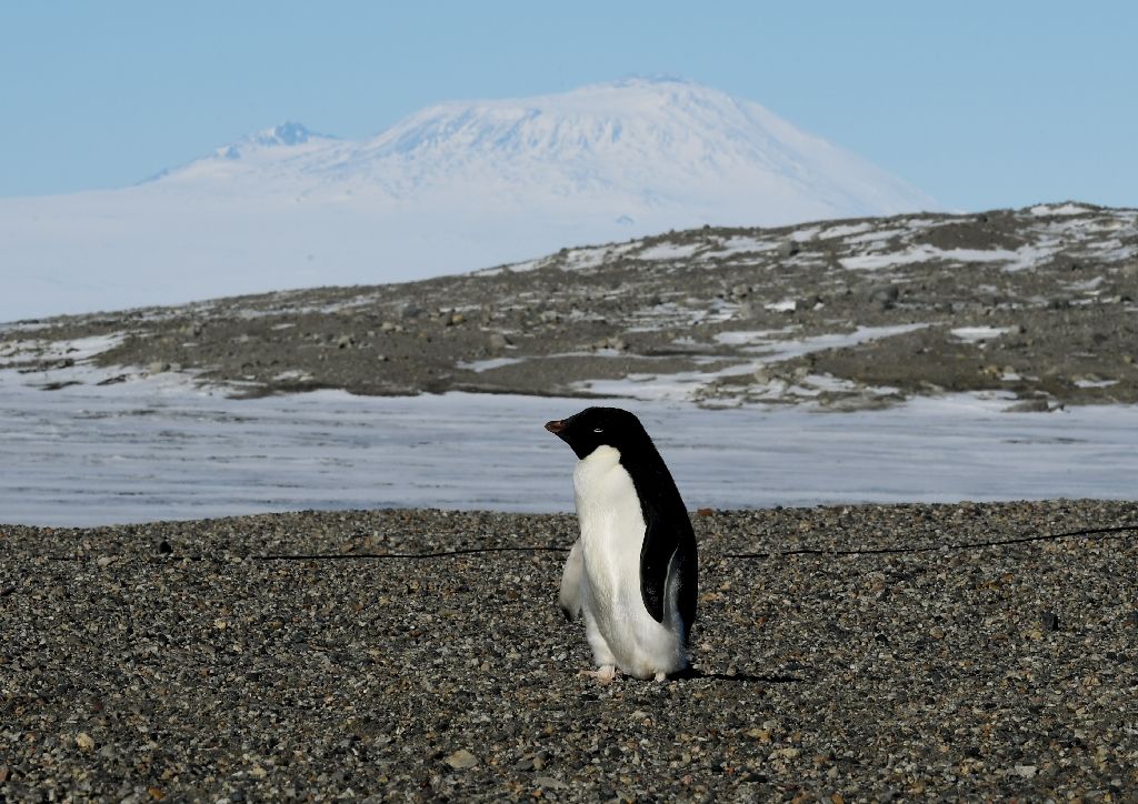 The Paris climate-rescue deal reached to combat global warming, rapidly melting Antarctic ice, is under threat with the new US administration (AFP Photo/MARK RALSTON)
