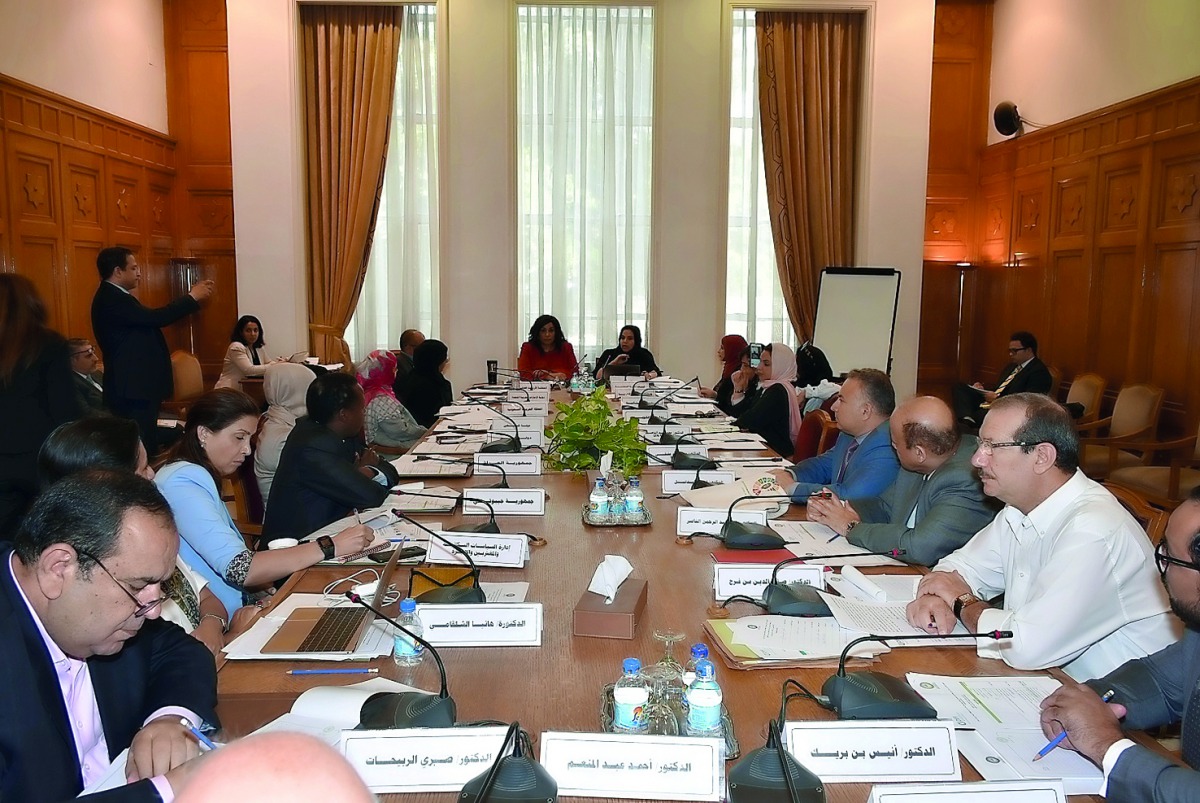 DIFI representatives and social affairs experts attend a consultative meeting at the headquarters of the Arab League in Cairo. 