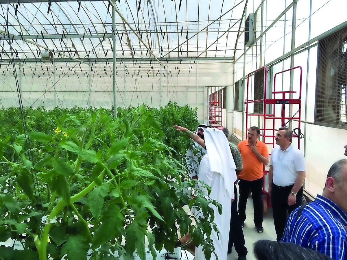 The Turkish delegation visiting a farm in Qatar.
