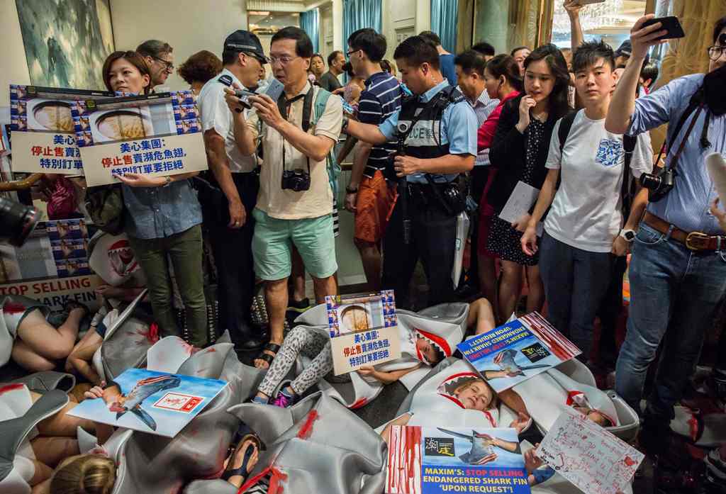 Shark fin activists protest outside Maxim's flag ship restaurant 'Maxim's Palace', the largest Chinese restaurant group, for selling threatened and endangered shark species in Hong Kong on June 10, 2017. / AFP.