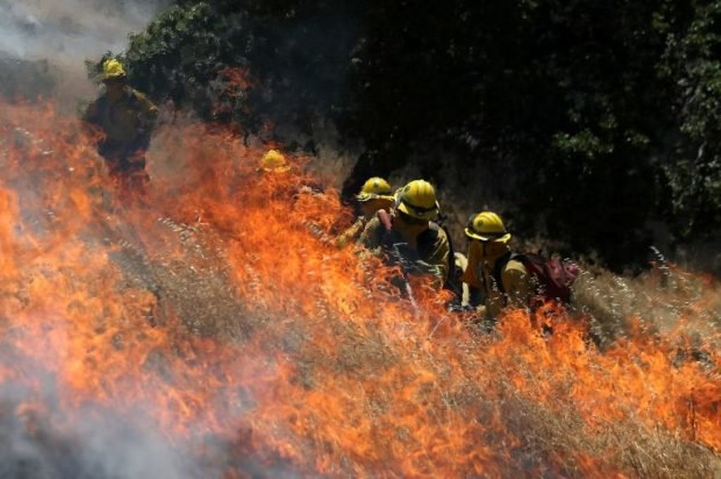 Photo: AFP.