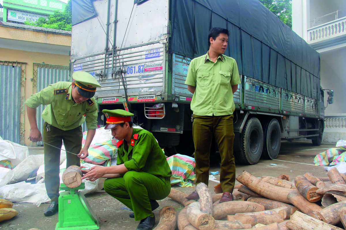 A policeman and a customs officer inspecting seized ivory transported on a truck (background) in the central province of Thanh Hoa, in Vietnam. Authorities have seized nearly three tonnes of ivory hidden among boxes of fruit, officials said, the latest ha