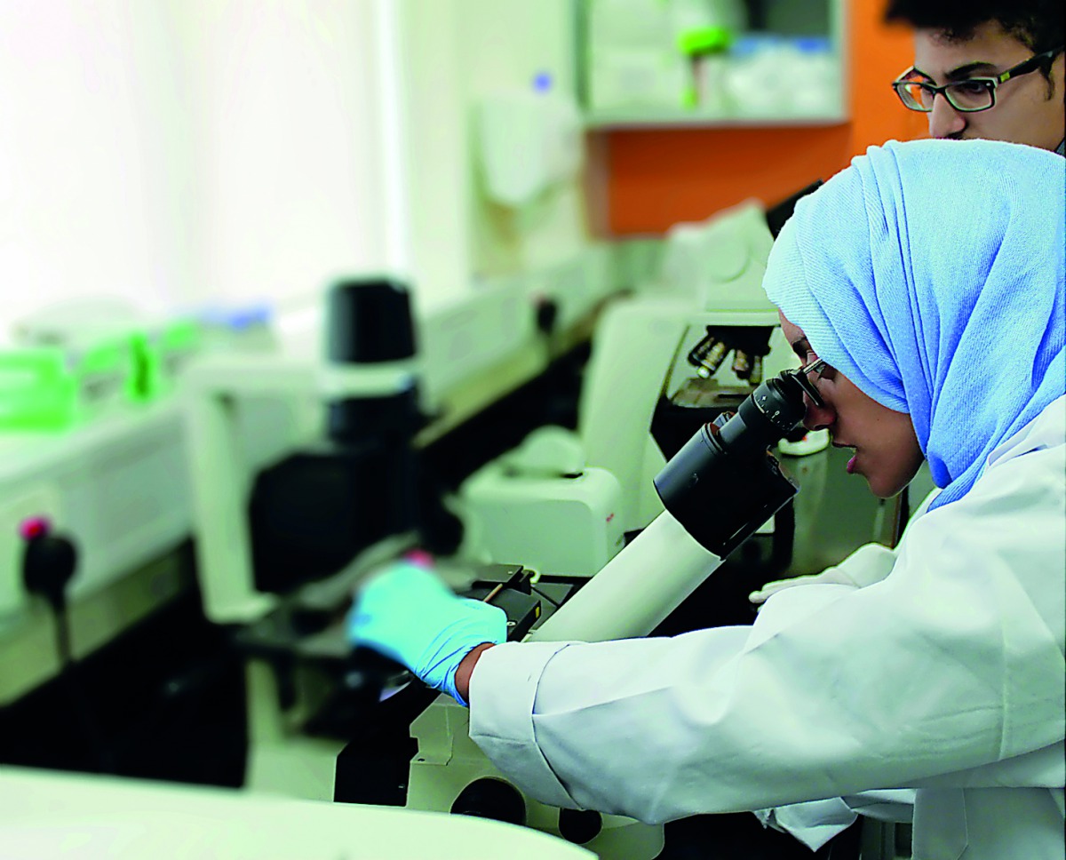 A researcher of the HBKU at work.