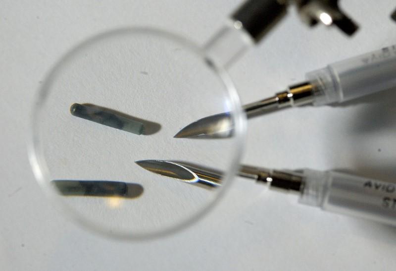 Tiny radio frequency identification (RFID) computer chips with the needles used to implant them under the skin are pictured in New York January 4, 2006. Reuters/Chip East