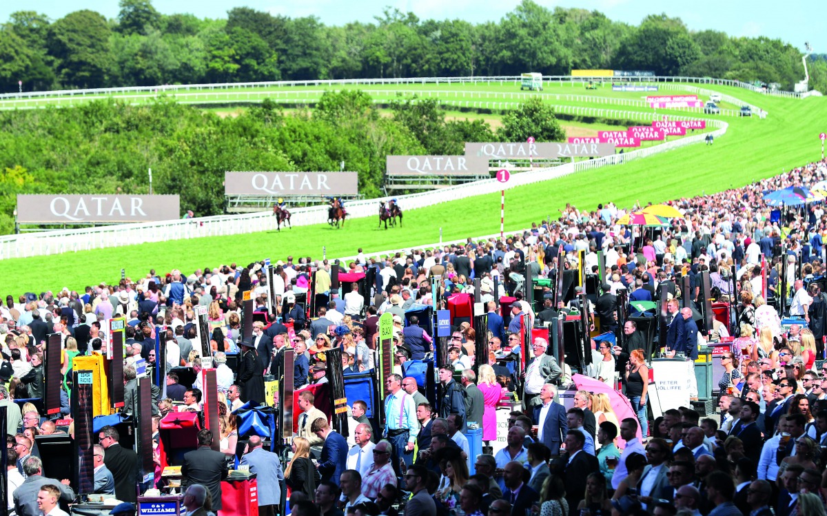 A view of the crowd at the festival venue. 