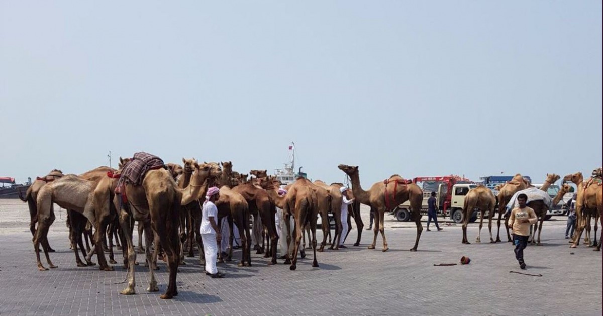 Image representation