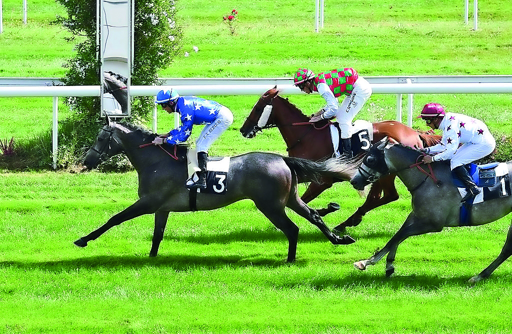 Rajeh (left) on its way to win the Prix Cheri Bibi (Gr3 PA) at Bordeaux yesterday. 