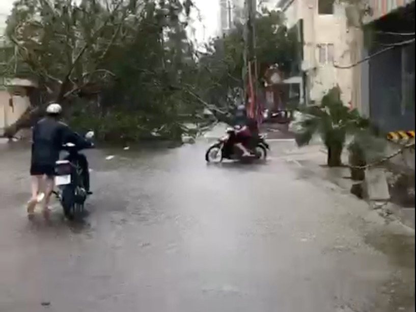 Motorcyclists pass fallen trees along a street during a storm in Nha Trang, as Typhoon Damrey descends on southern Vietnam, in this still image taken from social media video, November 4, 2017. @AMALZIAQ/via REUTERS