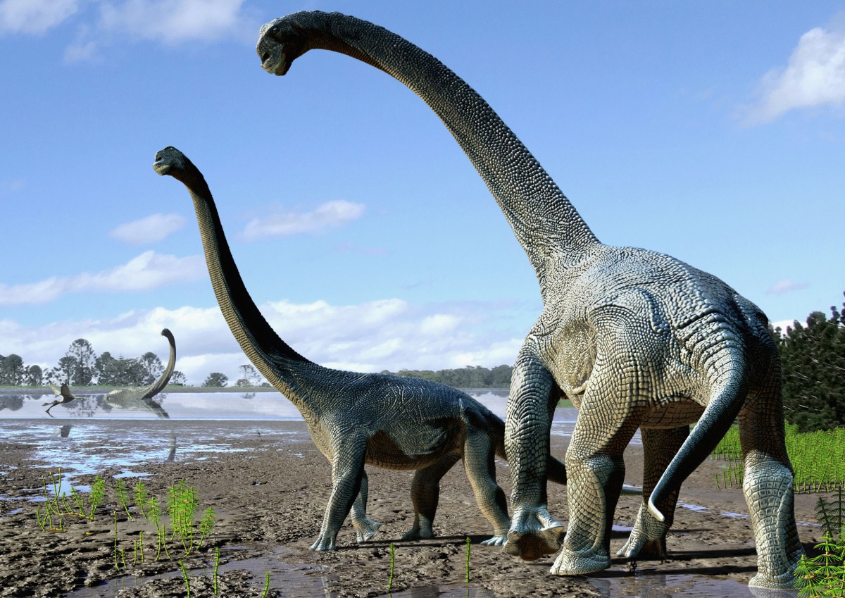 Savannasaurus elliottorum. Image credit: Travis R. Tischler.