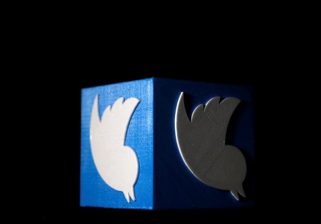 A 3D printed Twitter logo is seen in this illustration picture made in Zenica, Bosnia and Herzegovina, February 3, 2016. (Reuters / Dado Ruvic) 