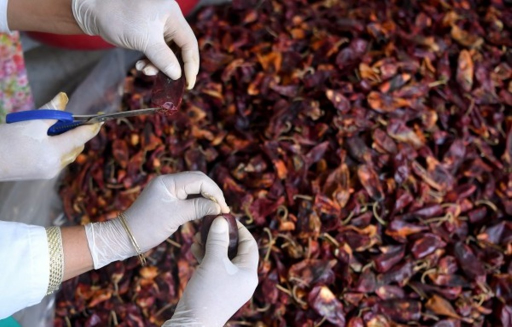 Tunisian rural women prepare red peppers which are used in the making of harissa paste. Photo: AFP / Fethi Belaid 