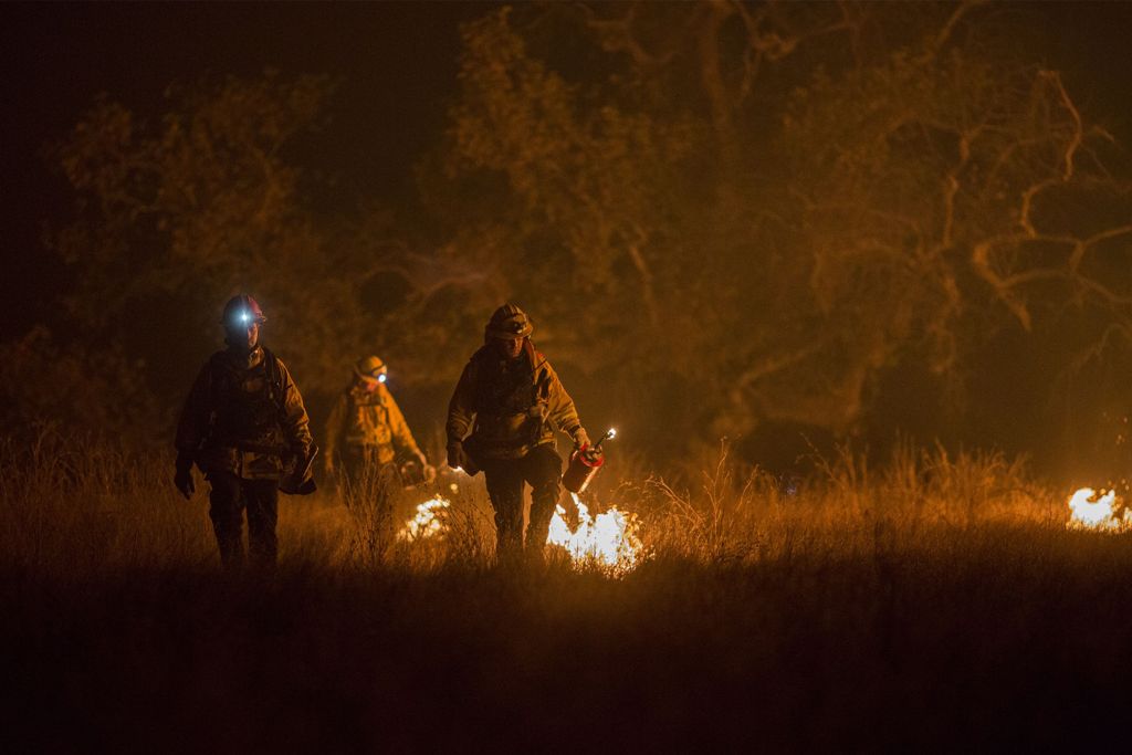 Firefighter set a backfire to make progress against the Thomas Fire before the winds return with the daylight near Lake Casitas on December 9, 2017 near Ojai, California. / AFP.