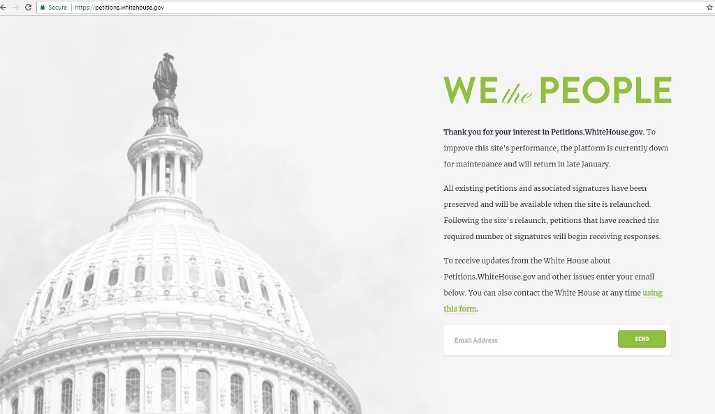 Print screen of the website.