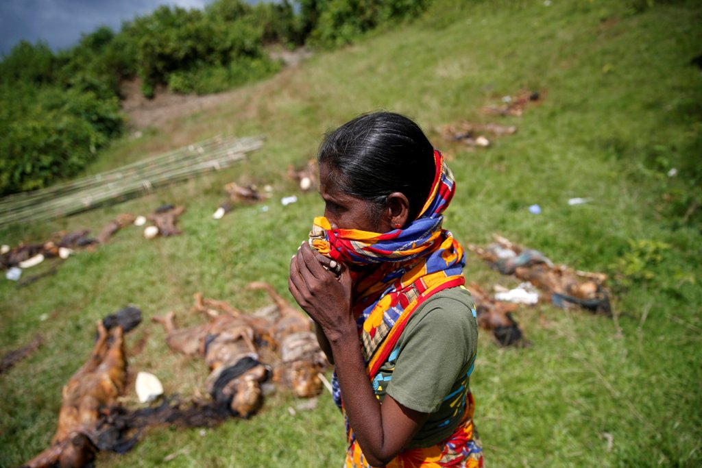 Afile photo of a Hindu villager reacts while identifying the bodies of relatives found by government forces, that authorities suspected were killed by insurgents last month, in a mass grave near Maungdaw in the north of Myanmar's Rakhine state, September 