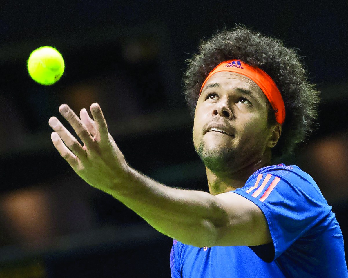 An image of Jo-Wilfred Tsonga.