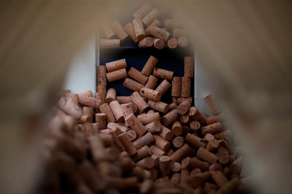 Cork stoppers are carried through a machine in Amorim Revestimentos factory unit in Sao Paio de Oleiros, Portugal, April 11, 2017. Reuters/Pedro Nunes