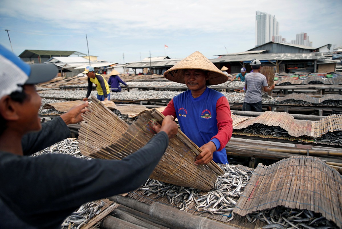 Daily paid workers sort dried fish during the drying process at Muara Baru district in Jakarta, Indonesia, January 8, 2018. Reuters/Beawiharta