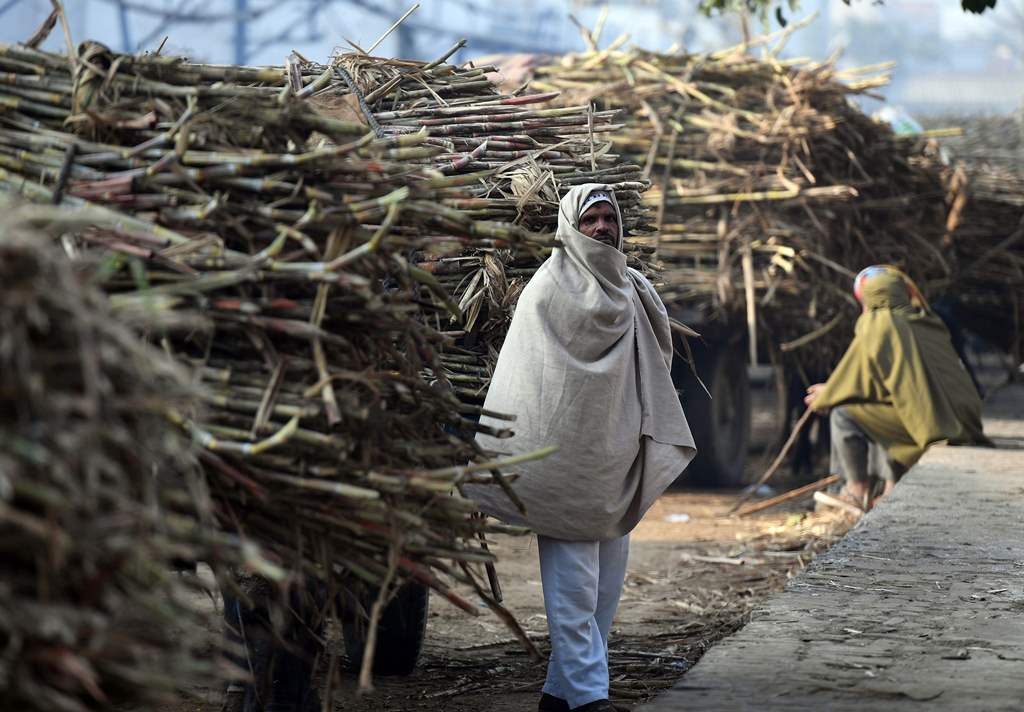 An Indian farmer waits outside a sugar mill to sell sugarcane crop in Modinagar in Ghaziabad, some 45km east of New Delhi, on January 31, 2018. AFP / PRAKASH SINGH
