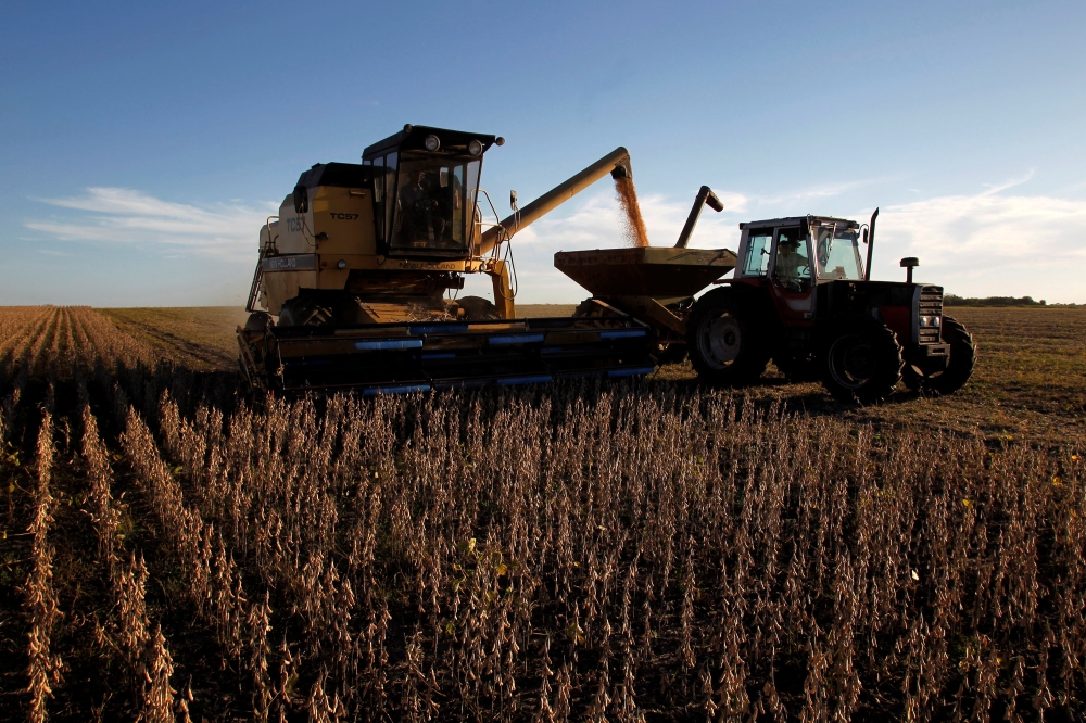 FILE PHOTO: Soybeans are harvested on a farm on the outskirts of San Jose, Uruguay, April 27, 2011. REUTERS/Andres Stapff/File photo