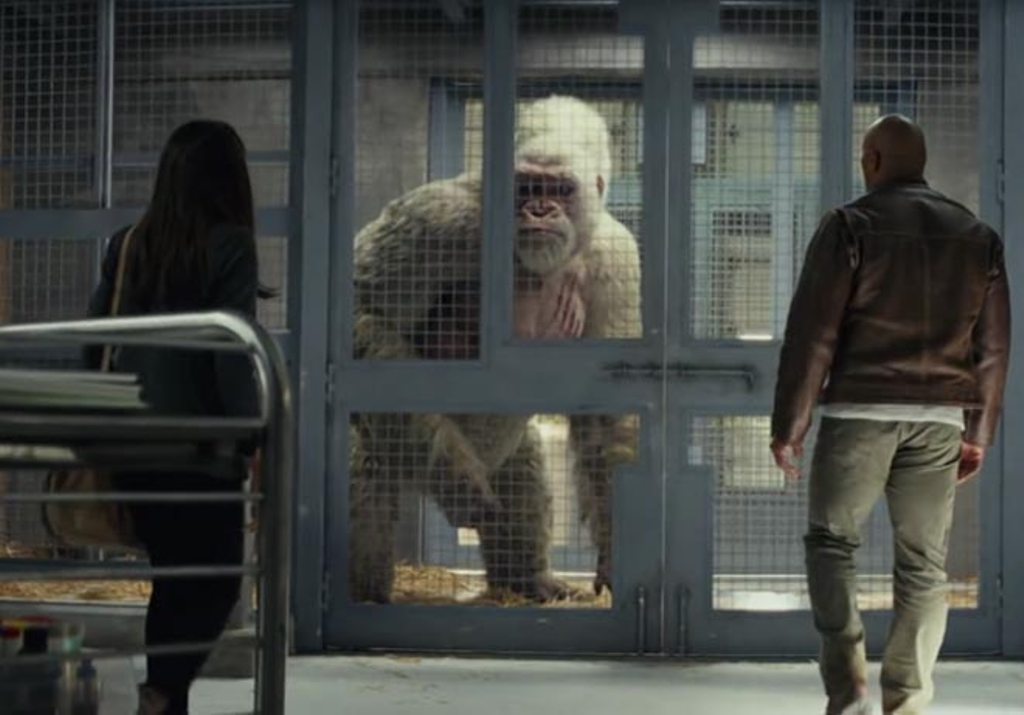 A still from the movie Rampage.