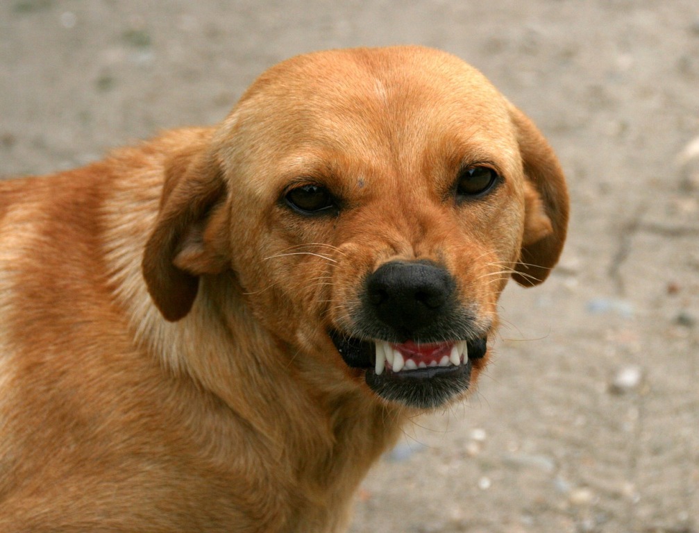 Image used for representation only.
