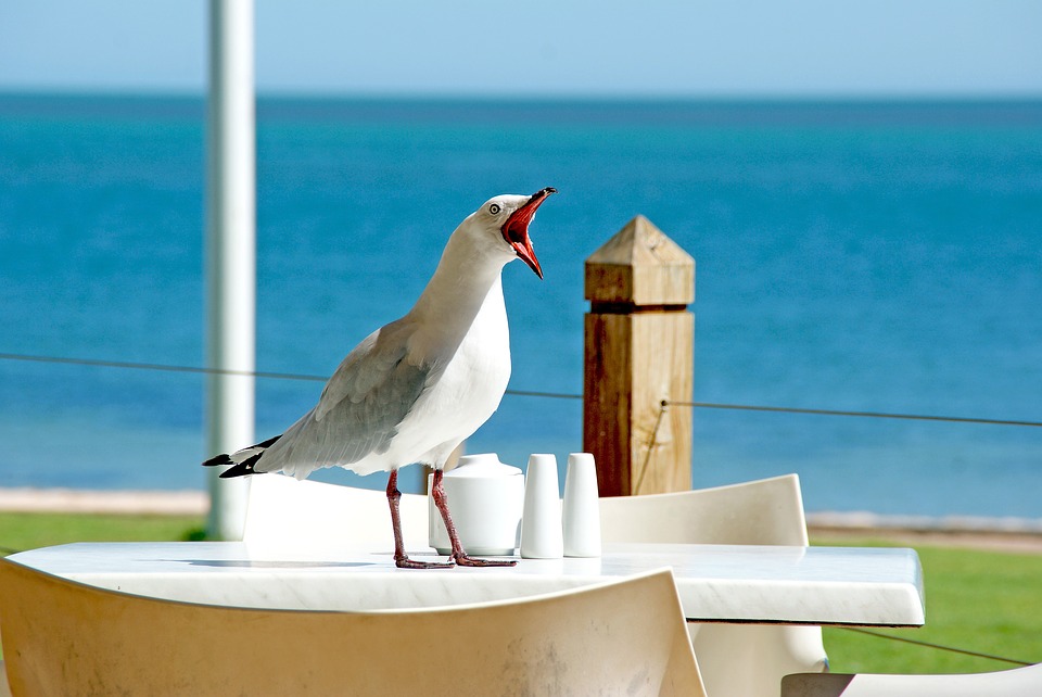 Image used for representation.