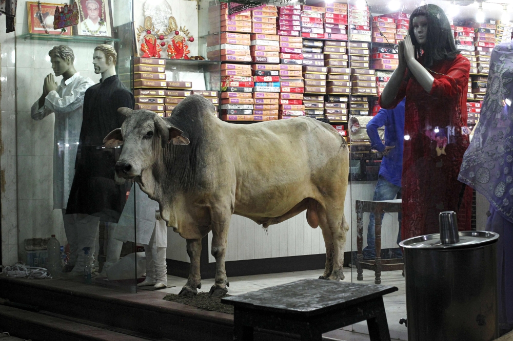 In this picture taken June 14, 2018 a bull stands at the entrance of a shop in Varanasi in the Indian state of Uttar Pradesh. / AFP / Anand Singh