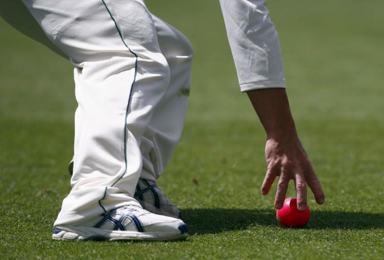 REPRESENTATIVE IMAGE: Australia's David Warner fields the pink ball during the first day of the third cricket test match against New Zealand at the Adelaide Oval, in South Australia, November 27, 2015. Reuters/David Gray