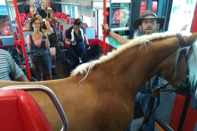Photos of the young man holding Frieda surrounded by laughing passengers were shared on social media
