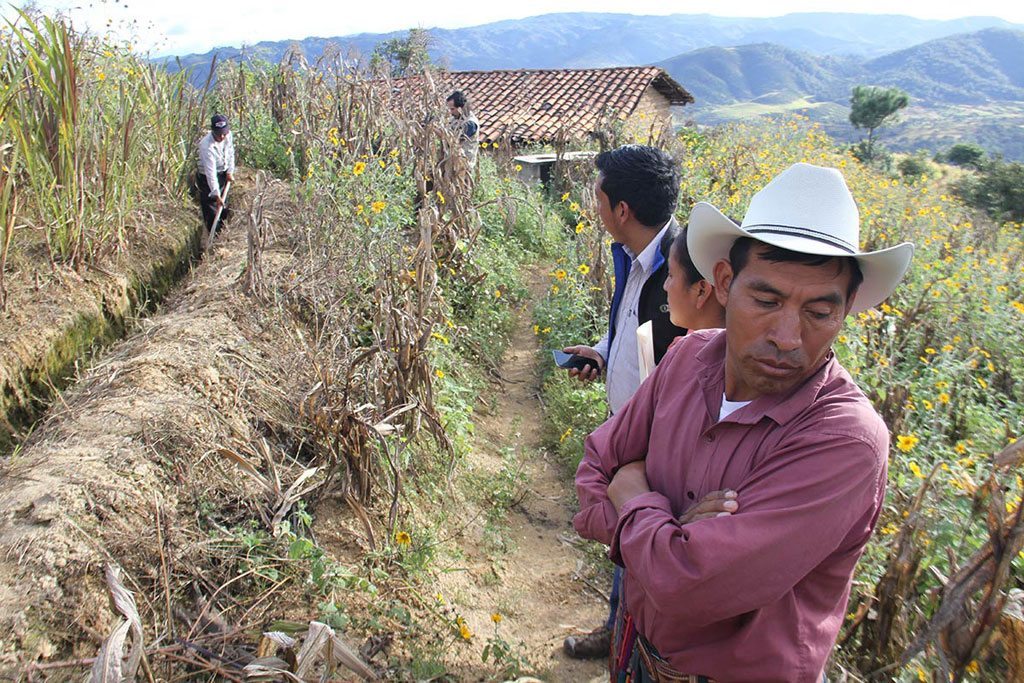 Lower than average rainfall in June and July has led to major crop losses for small-scale maize and bean farmers in Central America's 