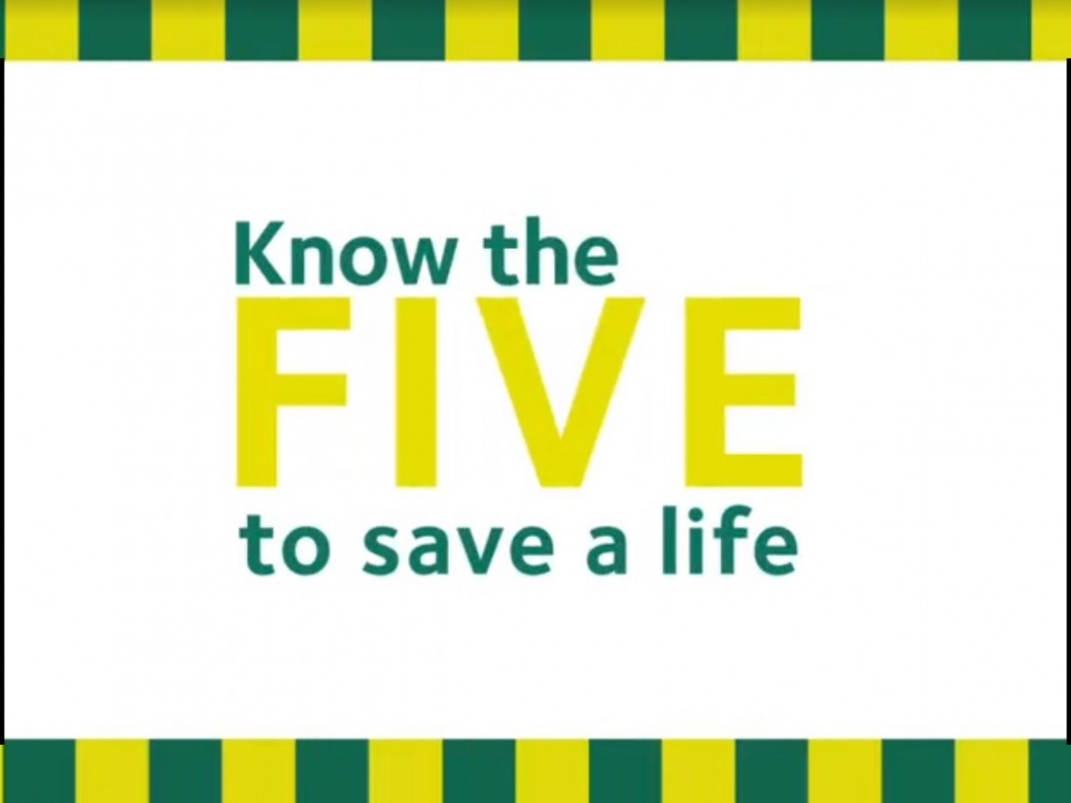 A screenshot from the video.