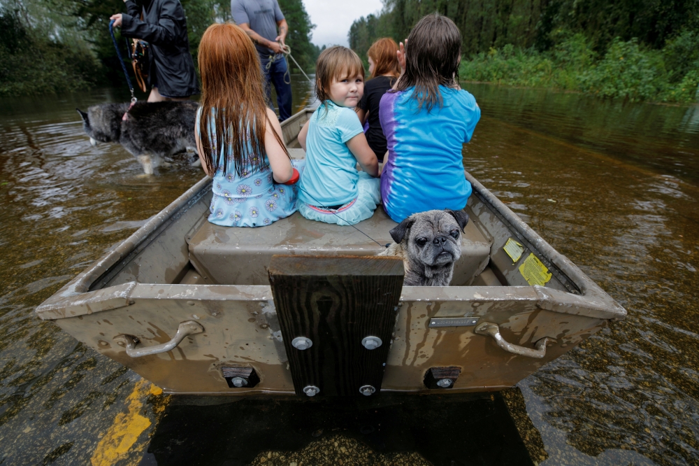 Iva Williamson, 4, peers behind her as she joins neighbors and pets in fleeing rising flood waters in the aftermath of Hurricane Florence in Leland, North Carolina, U.S., September 16, 2018. REUTERS/Jonathan Drake 