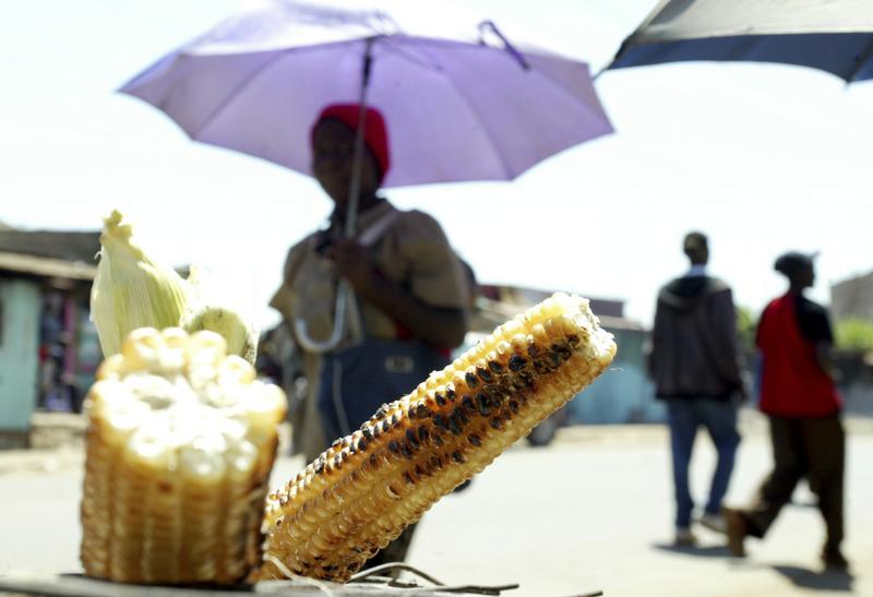 A woman walks past roasted corn for sale in Kenyan capital Nairobi, July 14, 2009. (Reuters/Noor Khamis) 