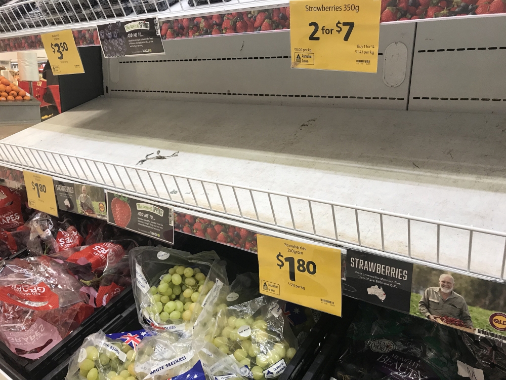 Empty shelves, normally stocked with strawberry punnets, are seen at a Coles Supermarket in Brisbane, Australia, September 14, 2018. Picture taken September 14, 2018. AAP/Dan Peled/via REUTERS 