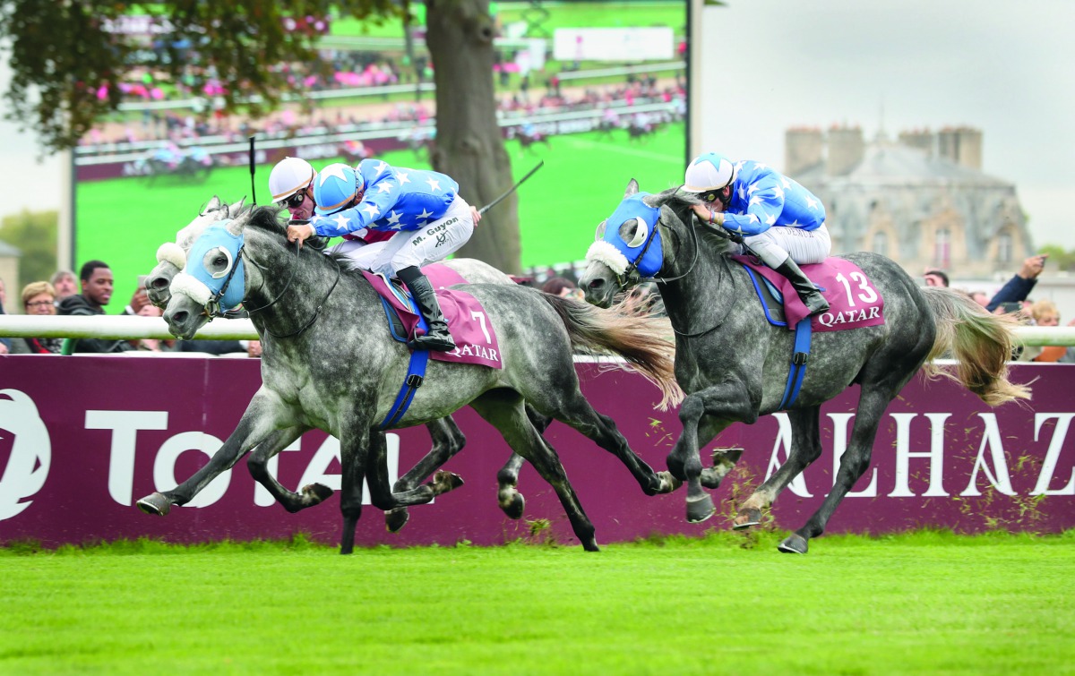  Qatar Arabian World Cup has so far attracted a total of 26 entries including top competitors.  