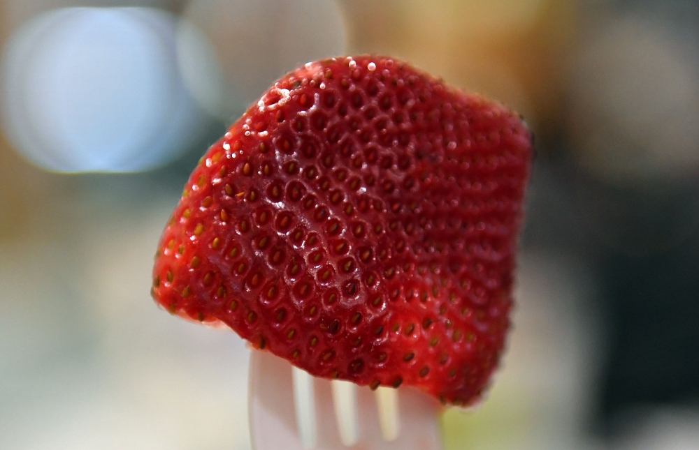 This photo illustration shows a strawberry on a fork at a restaurant in Sydney on September 19, 2018. AFP / Saeed KHAN