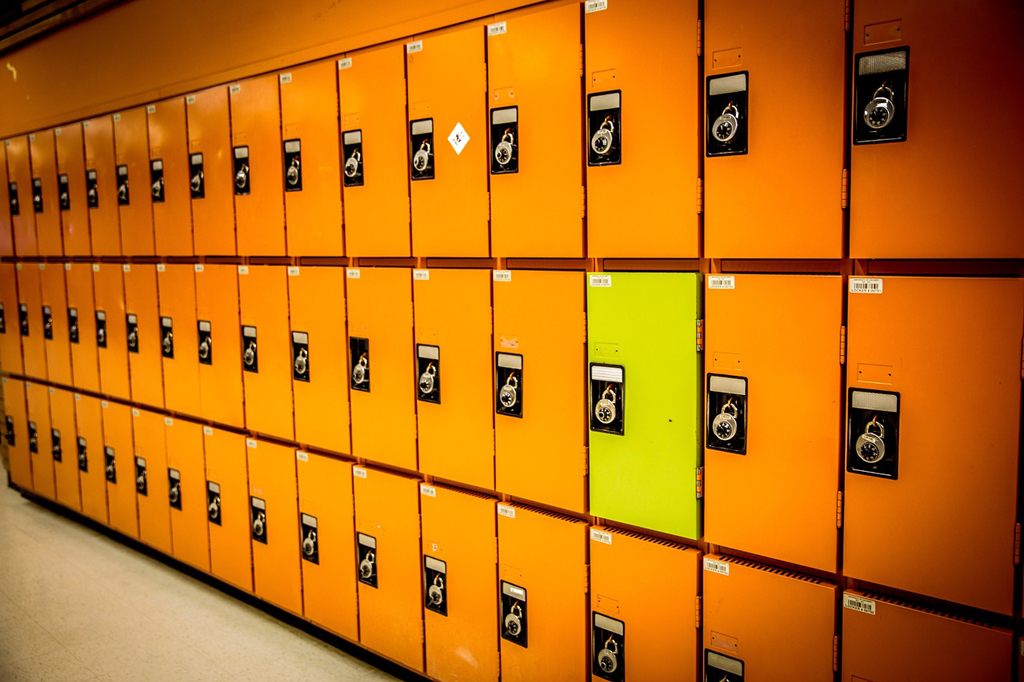 Image of lockers used for representation.